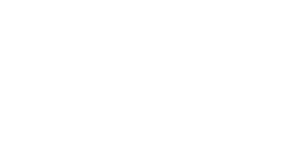 BarneyLabs logo